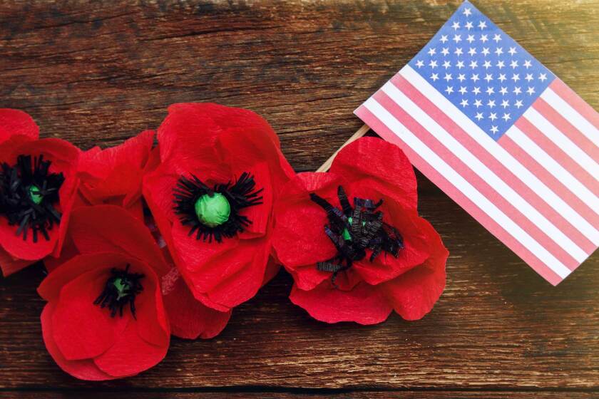 Red poppies with American flag